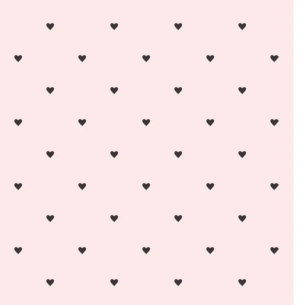 PoeticIbis0208의 ✨