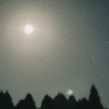 Profile image of 湊崎家