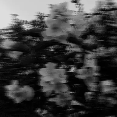 Profile image of 우융