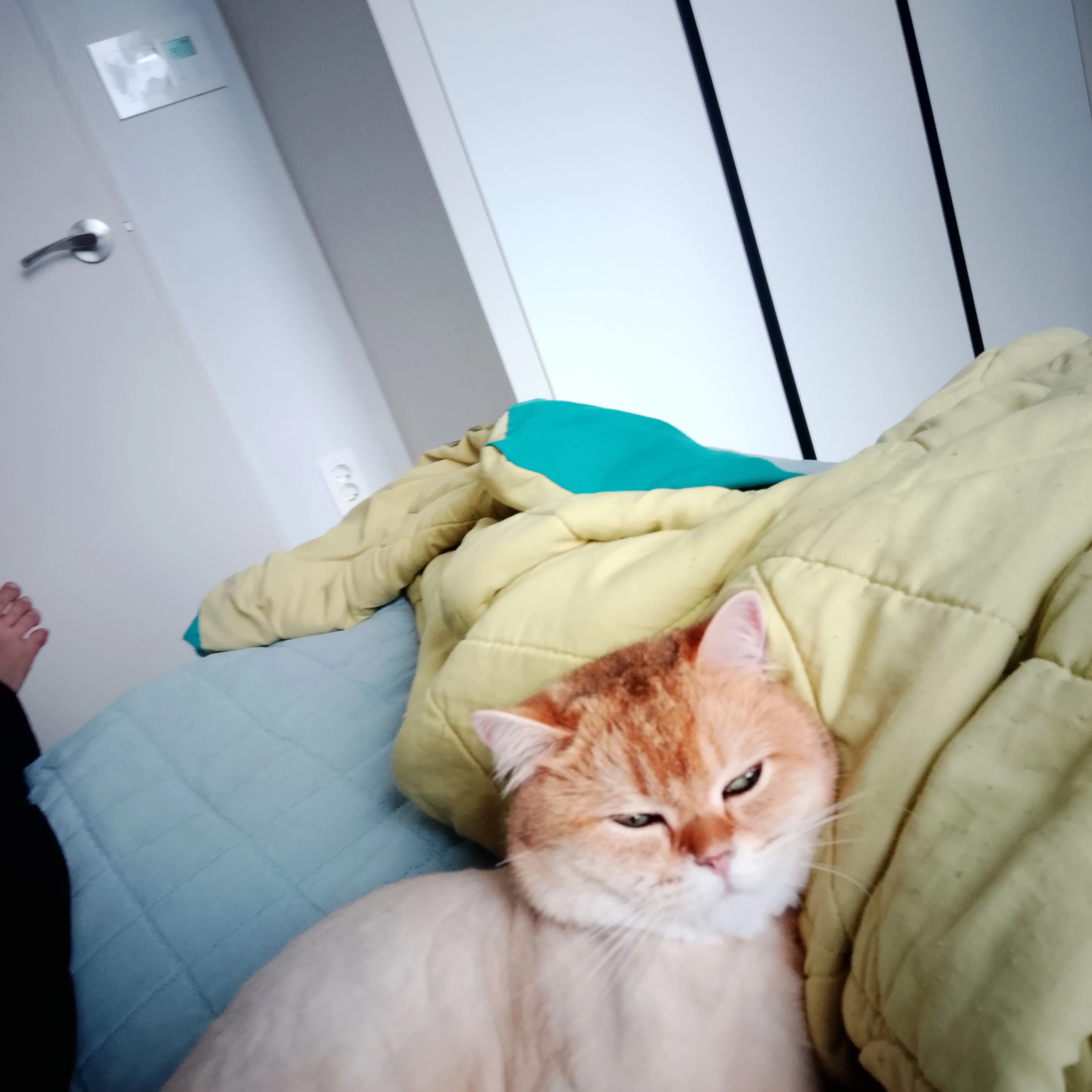 여자친구