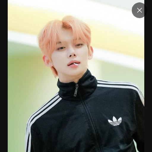 최연준