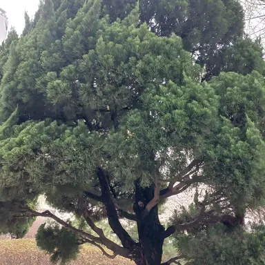 Profile image of 박잠뜰