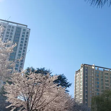 Profile image of 박덕개