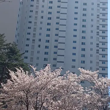 Profile image of 각별