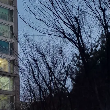 Profile image of 서라더