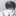 박주하
