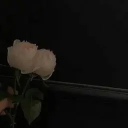 xu.j1_o의 더 소중한것.