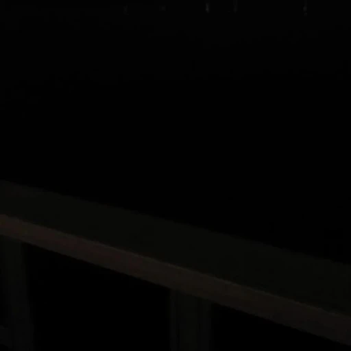 윤쫑쫑