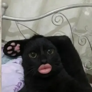 Profile image of Dwaeji