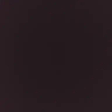 Profile image of 中国