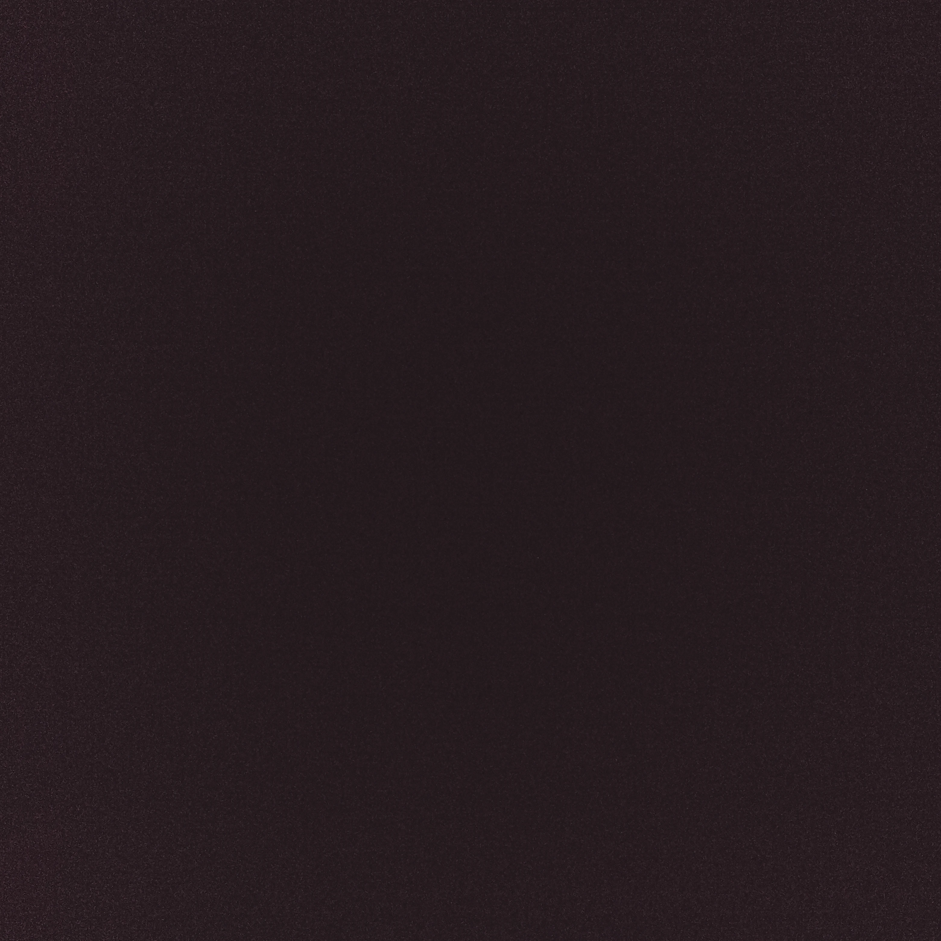 アメリカ