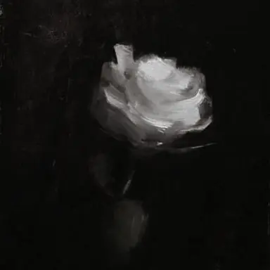Profile image of 백도진