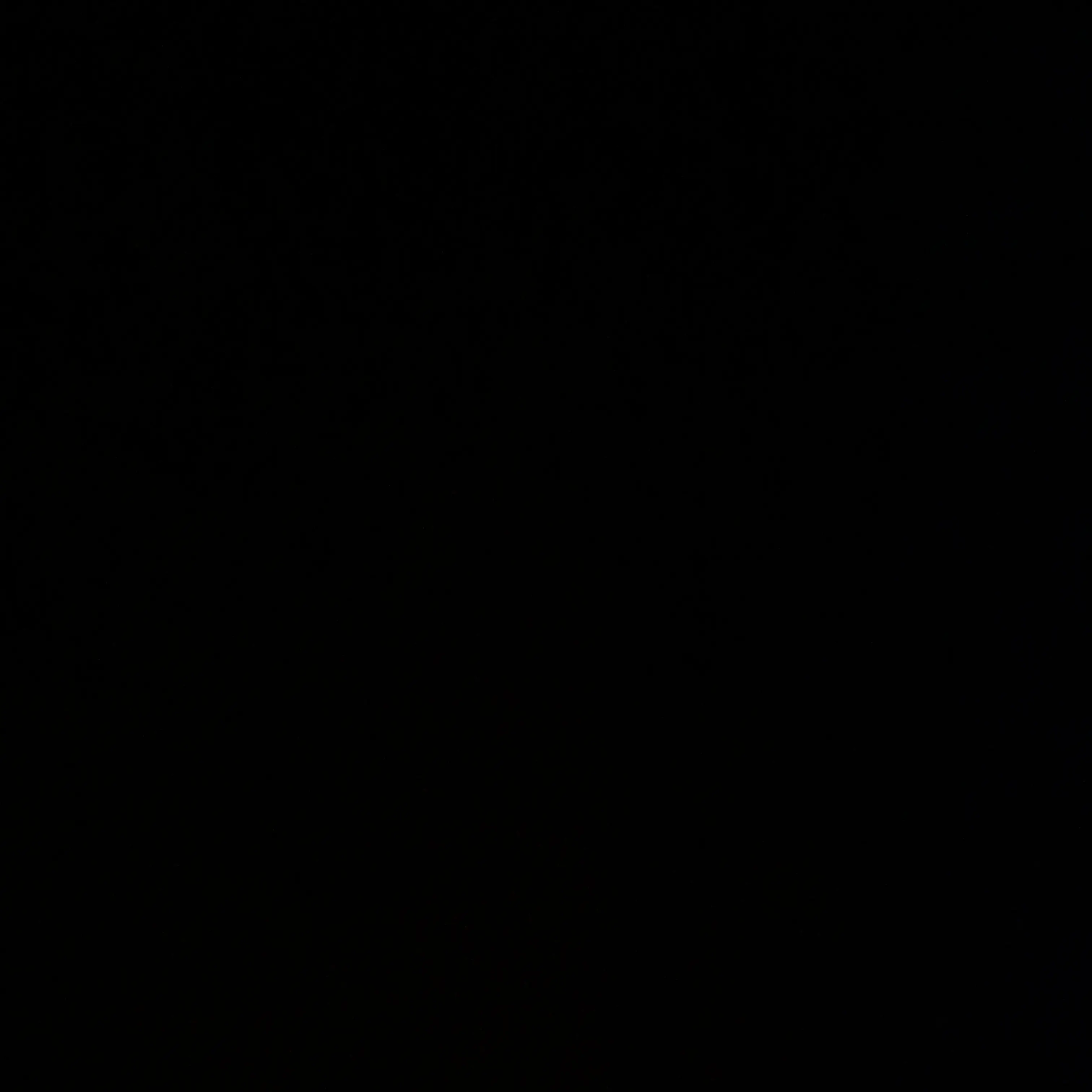 AbsurdVideo3107의 장시온 송이도 박지후
