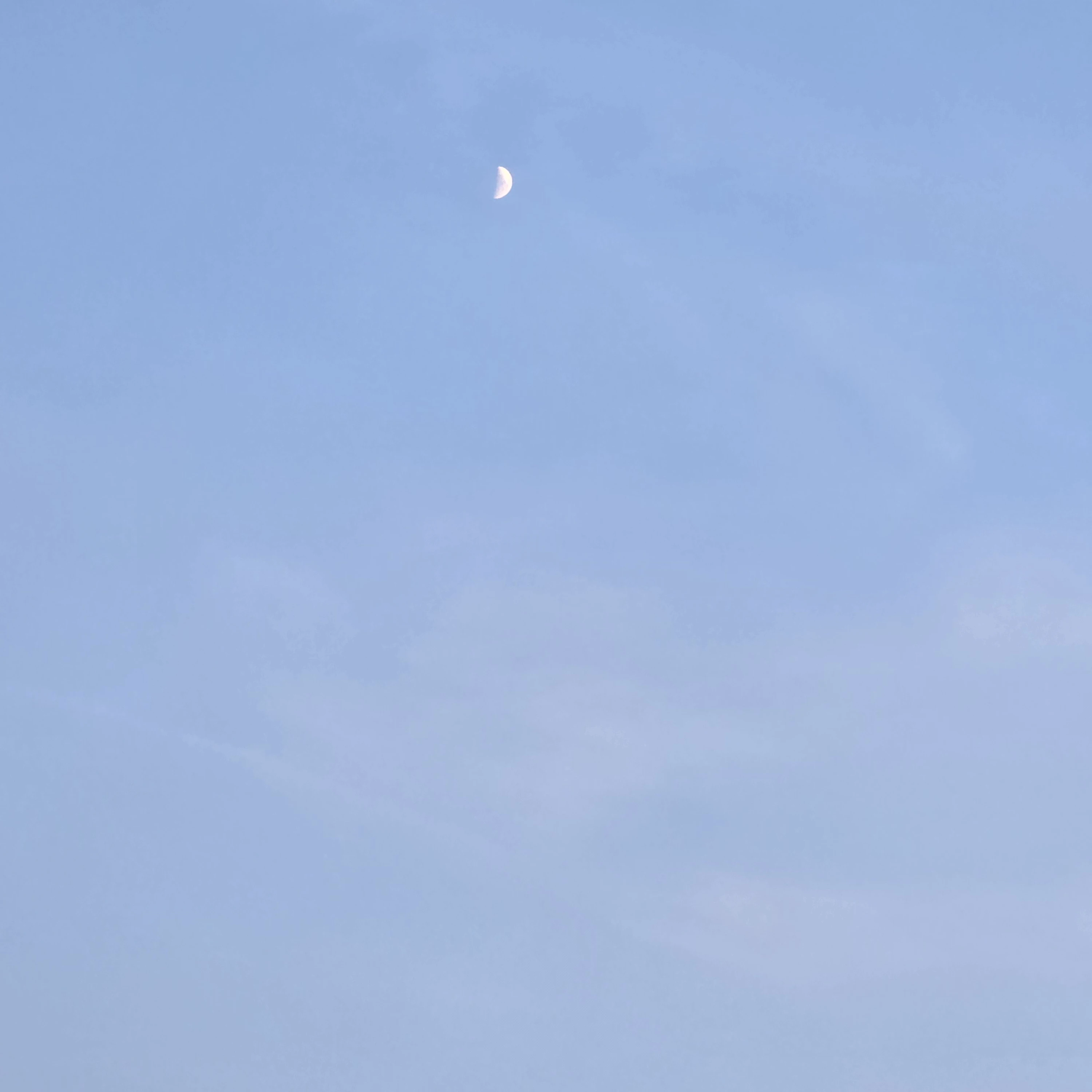 자기야