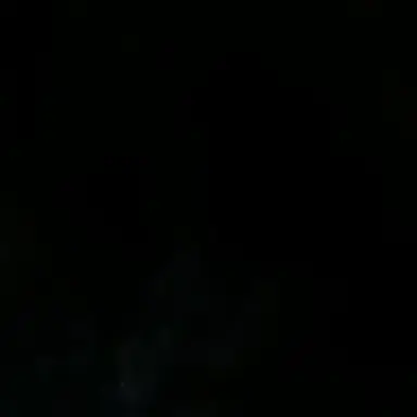 Profile image of 퓨어바닐라쉐도우밀크