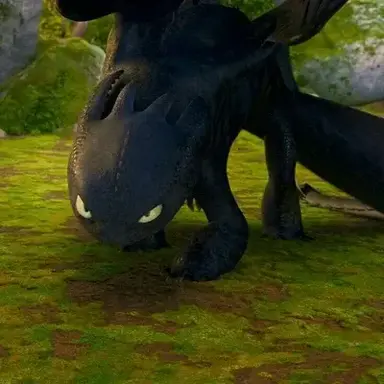 Profile image of Night Fury