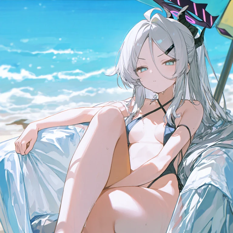白石風