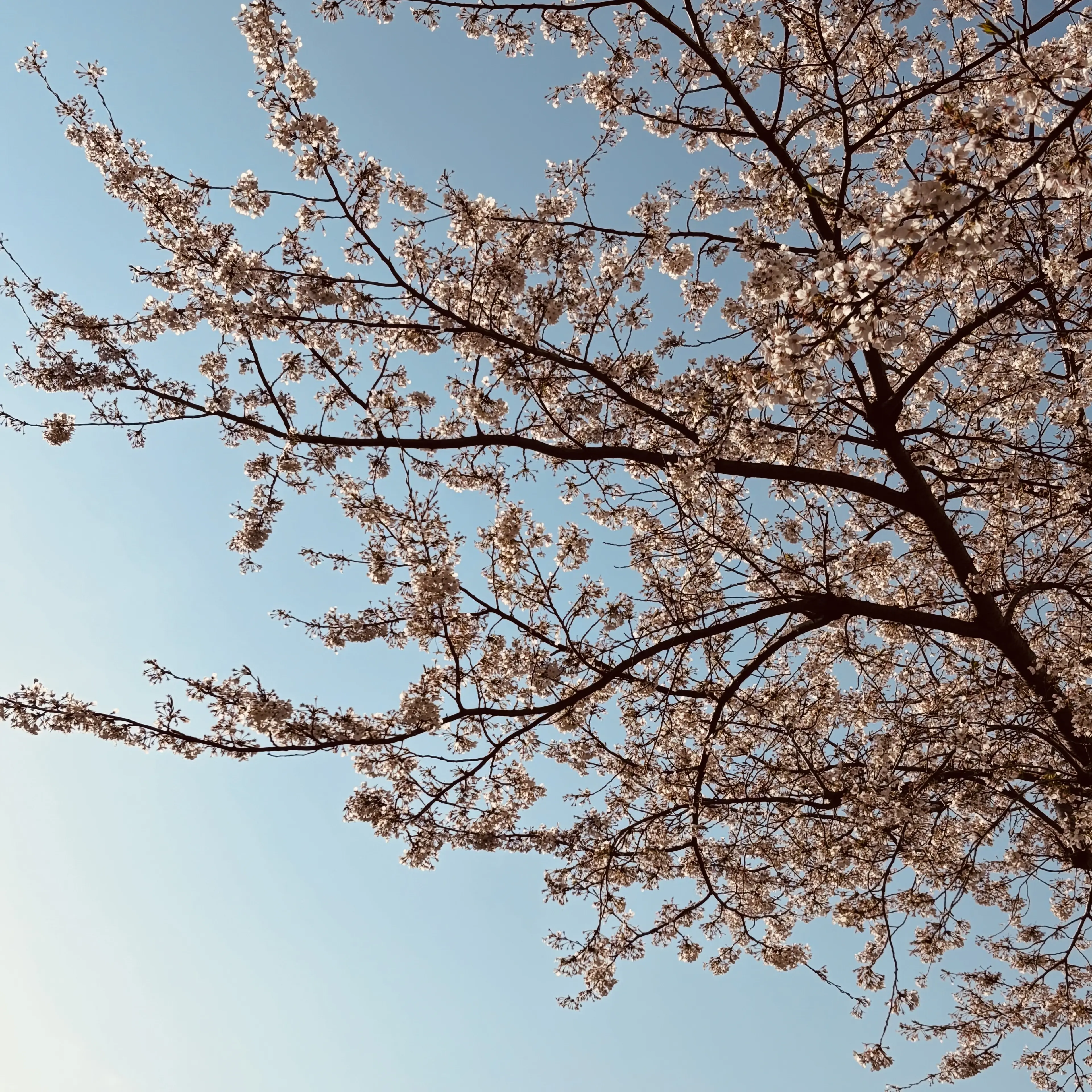 Wo.nu_jeon의 쩐워누
