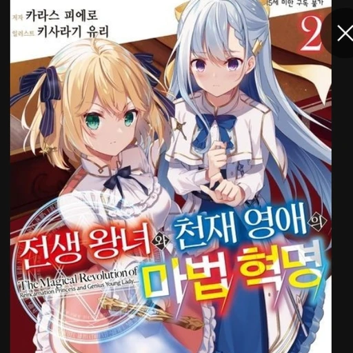 아니스