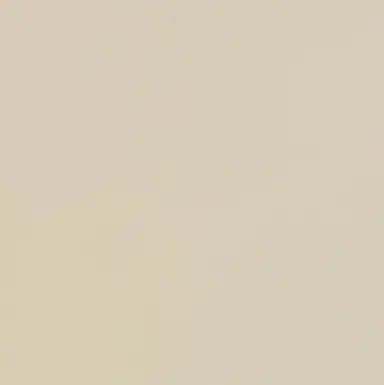 Profile image of 레이