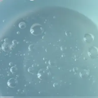 Profile image of 원영