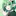 まう