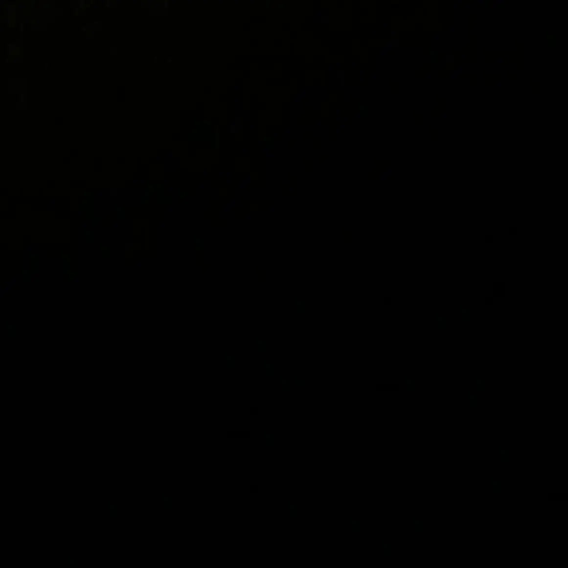 carat13의 ㅡㅡㅡ