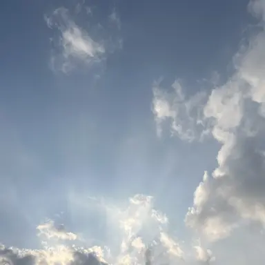 Profile image of 료미