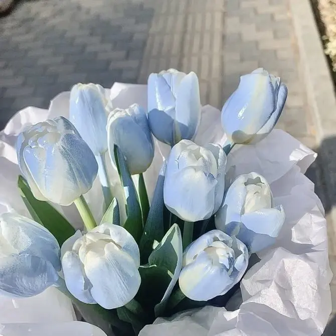 CannyBraid2910의 園ちゃんとイチャイチャしたい！！