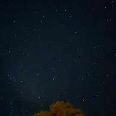 Profile image of エリアス