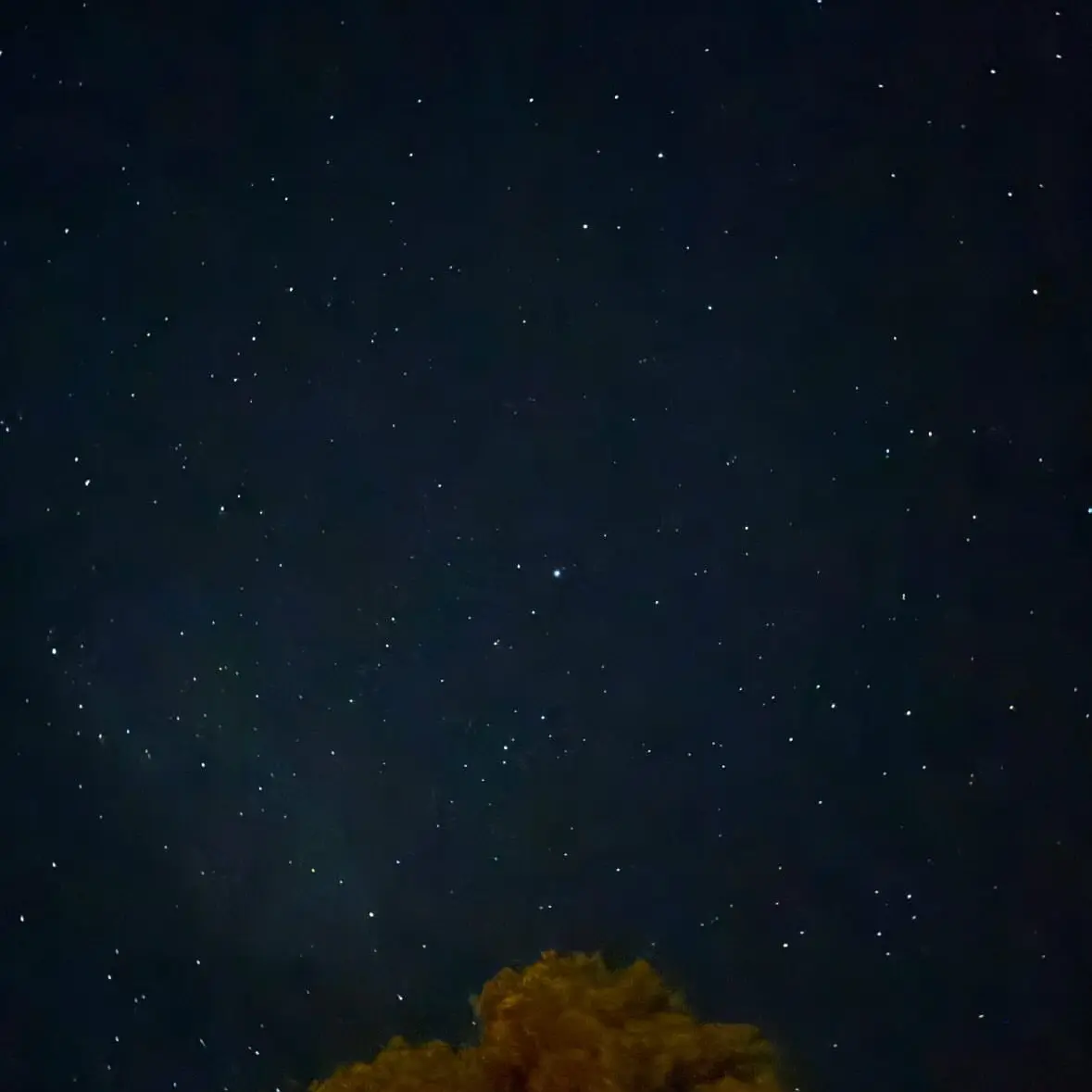 NosyMine1400의 暴君王太子