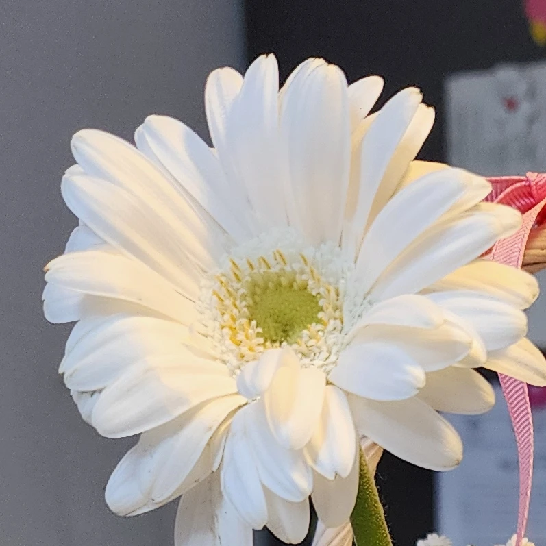 아이저