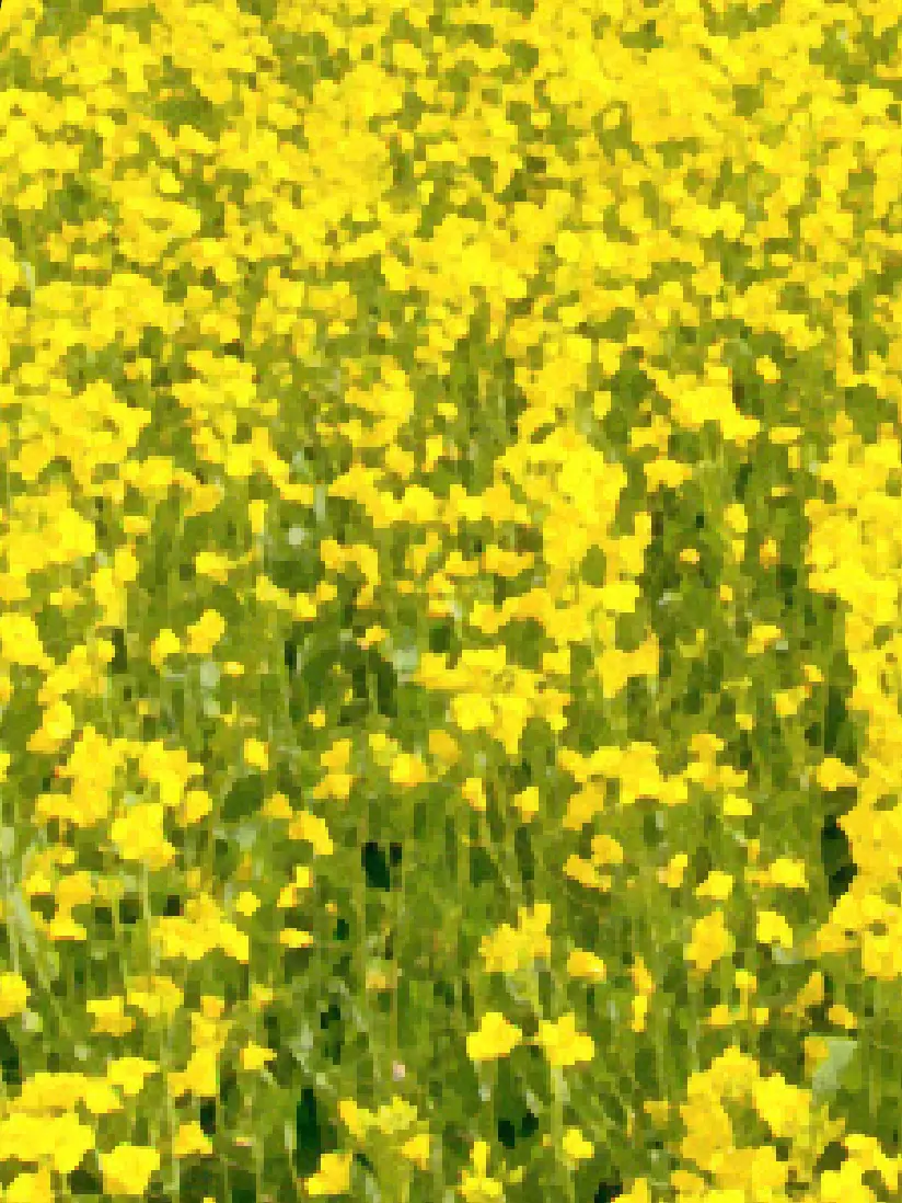 LightMeter7936의 실습 지도 전공의