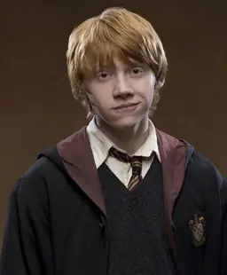 Profile image of Ron