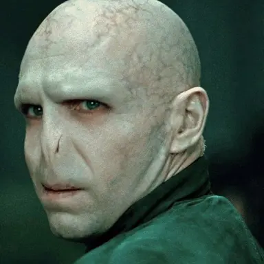 Profile image of Voldemort