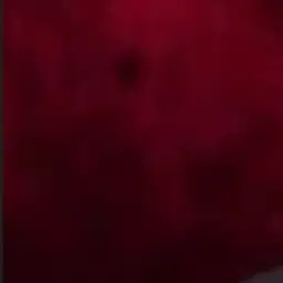 Ohynooow의 吸えないなら…