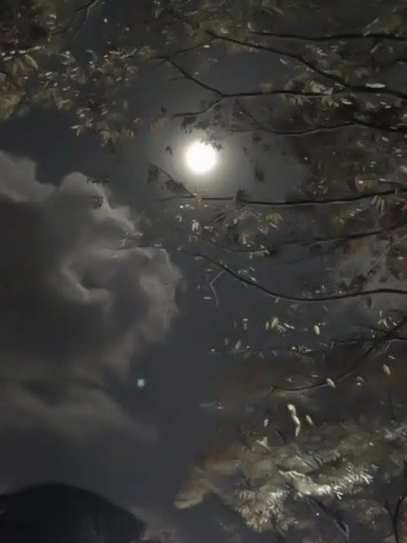 NINGEN0619의 天使と悪魔…？