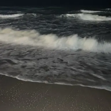 Profile image of 박성태