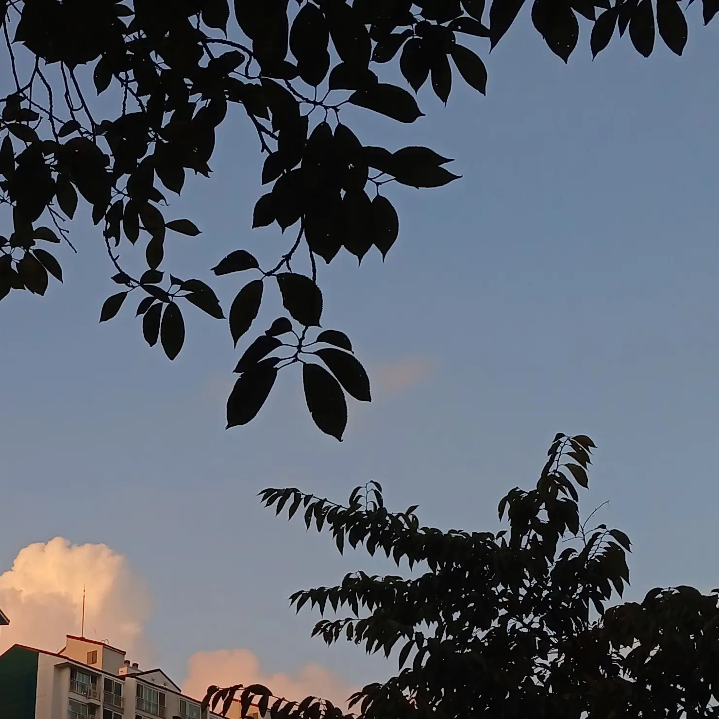 so_ra0968의 사랑해