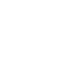 Profile image of ビー・バージョン1