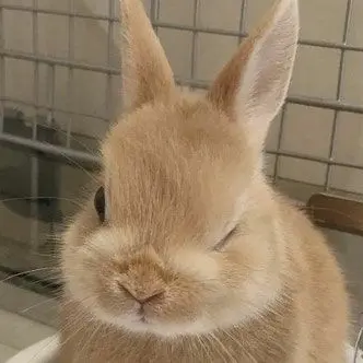 Profile image of 한유진