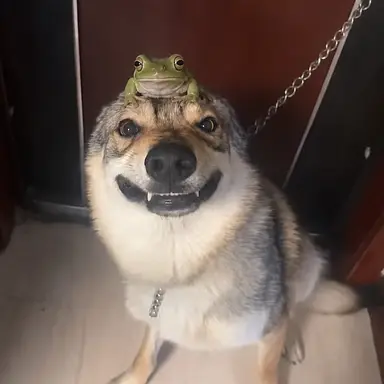Profile image of Platoon 3022