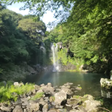 Profile image of 박보검