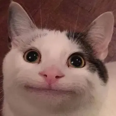 Profile image of 멤버들