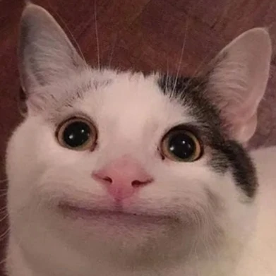 멤버들