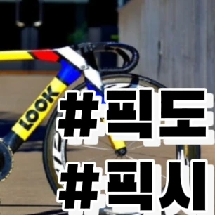 픽도들