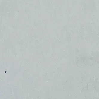 byeontae_saekki의 차시우