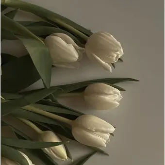 Hearts_2new_aespa의 최 지 우