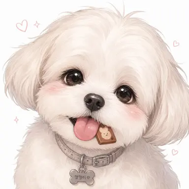 Profile image of 두부