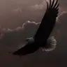 Profile image of 제우스